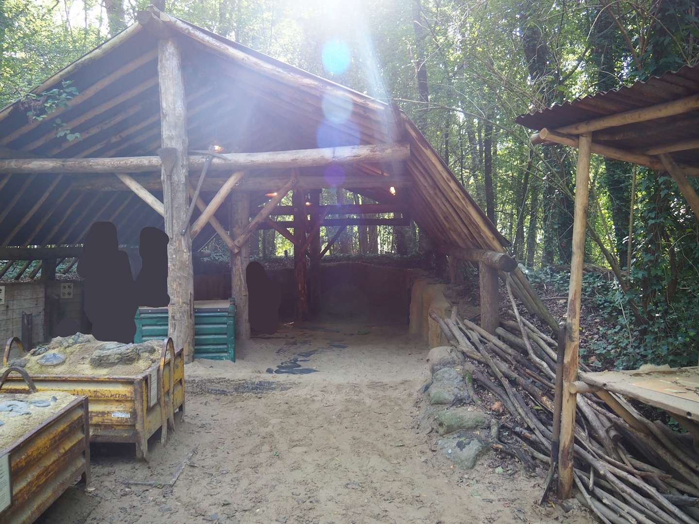 Dino Forest - Paleontological dig site site theming, 2023-09-24