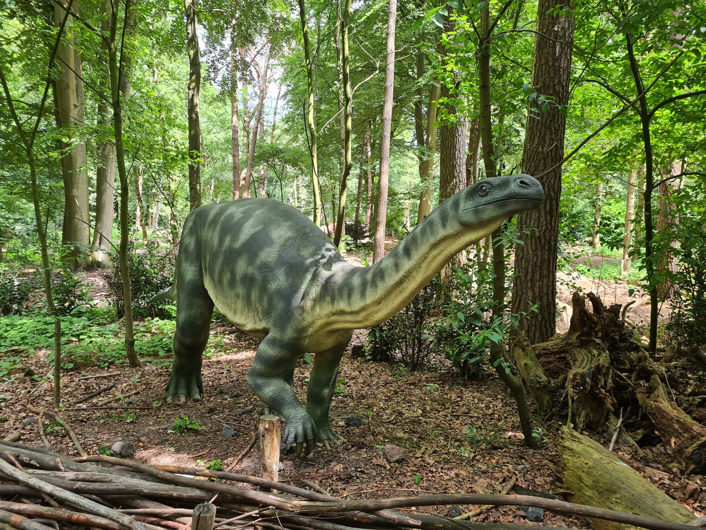 Dino forest - Plateosaurus