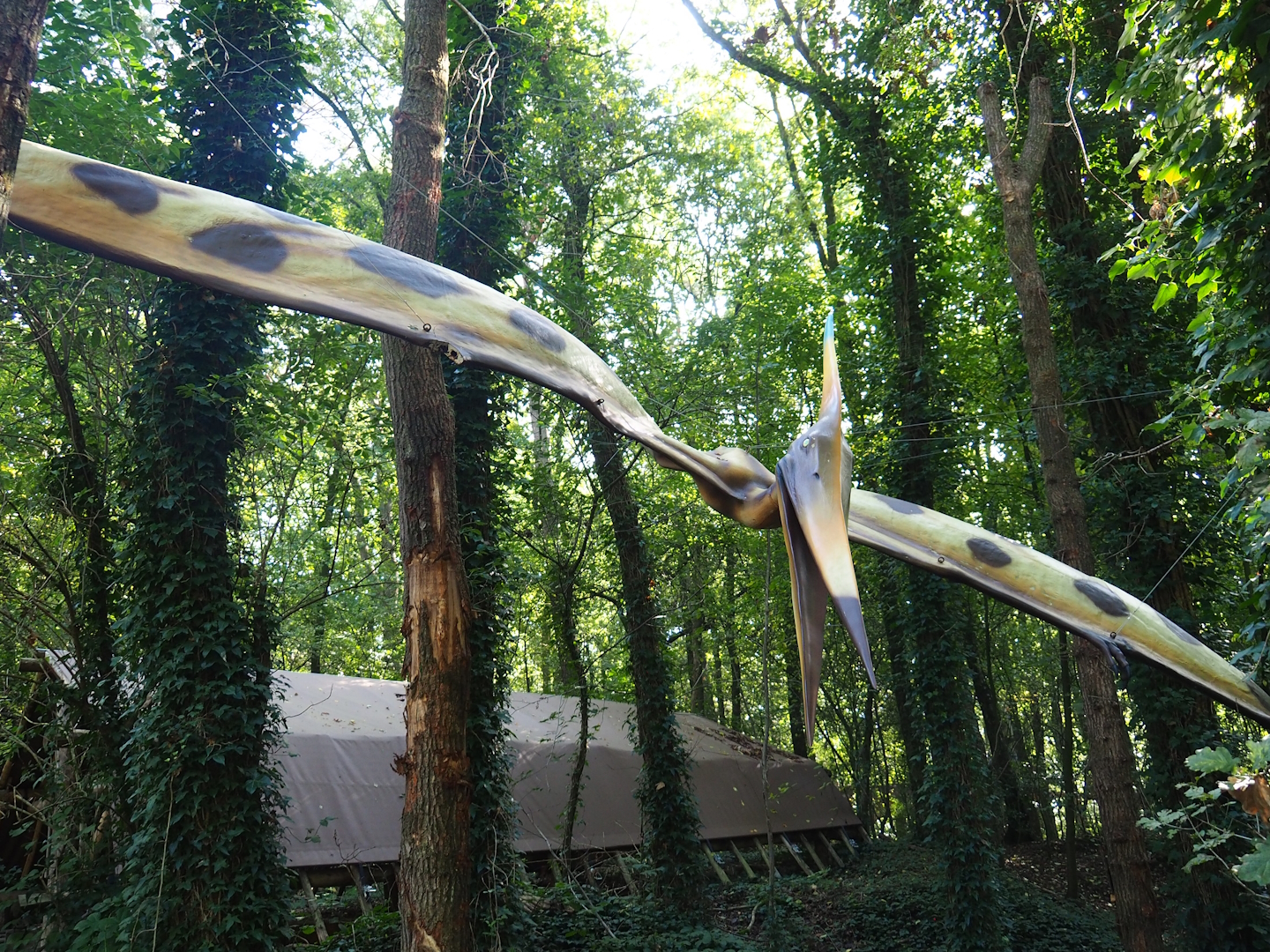 Dino Forest - Pteranodon model, 2023-09-24