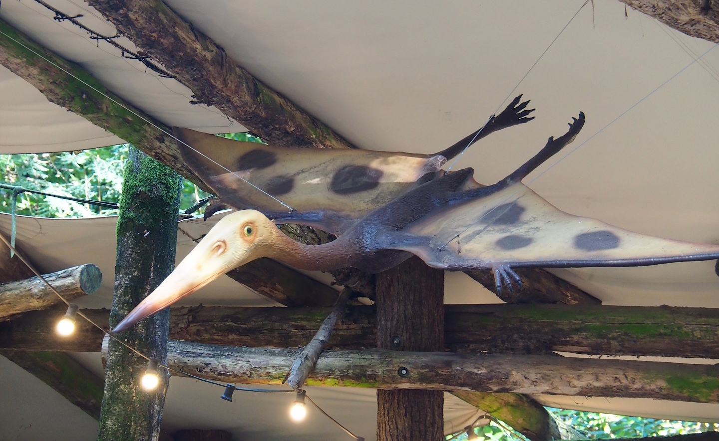 Dino Forest - Pterosaur model, 2023-09-24