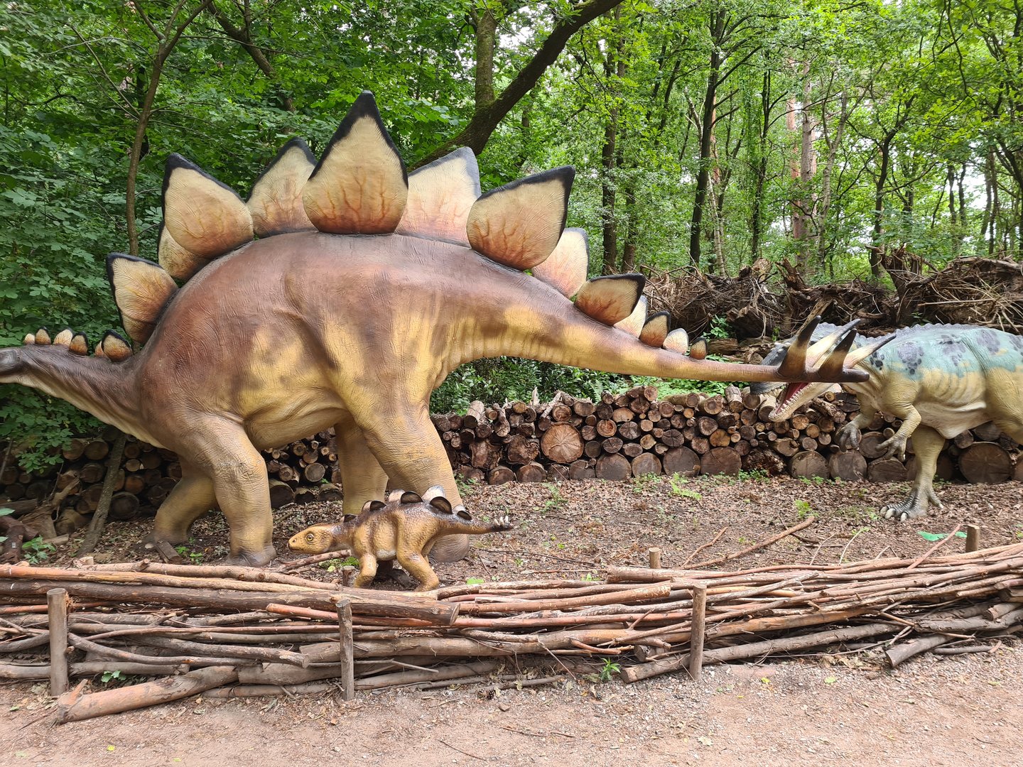 Dino forest - Stegosaurus and Albertosaurus
