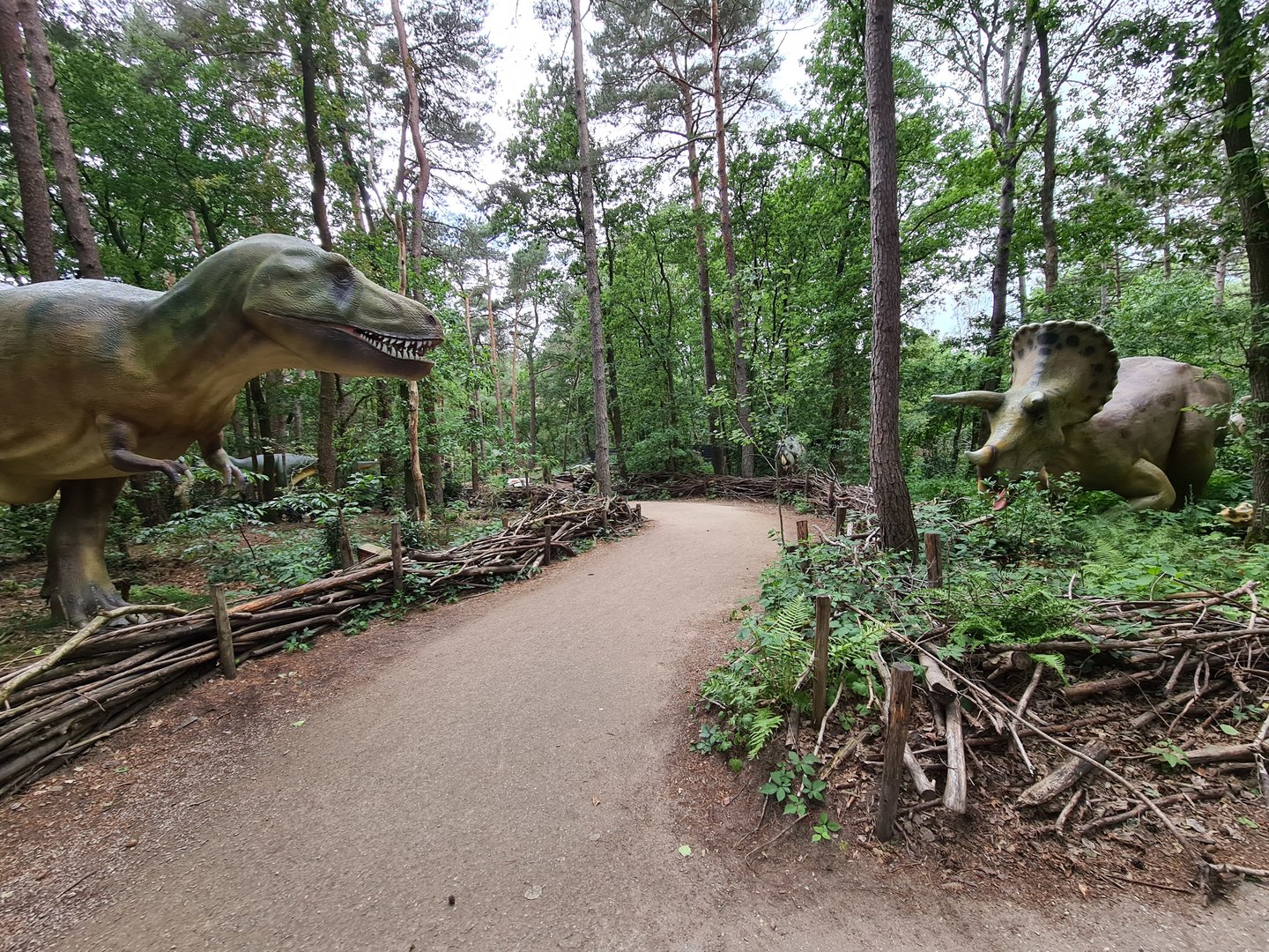 Dino forest - T-rex and Triceratops standoff
