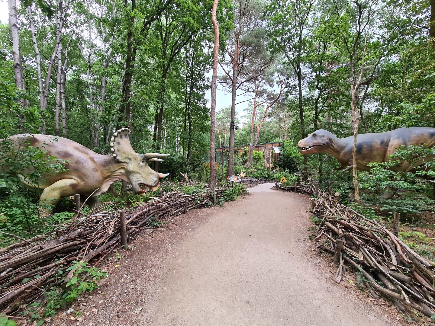 Dino forest - T-rex and Triceratops standoff