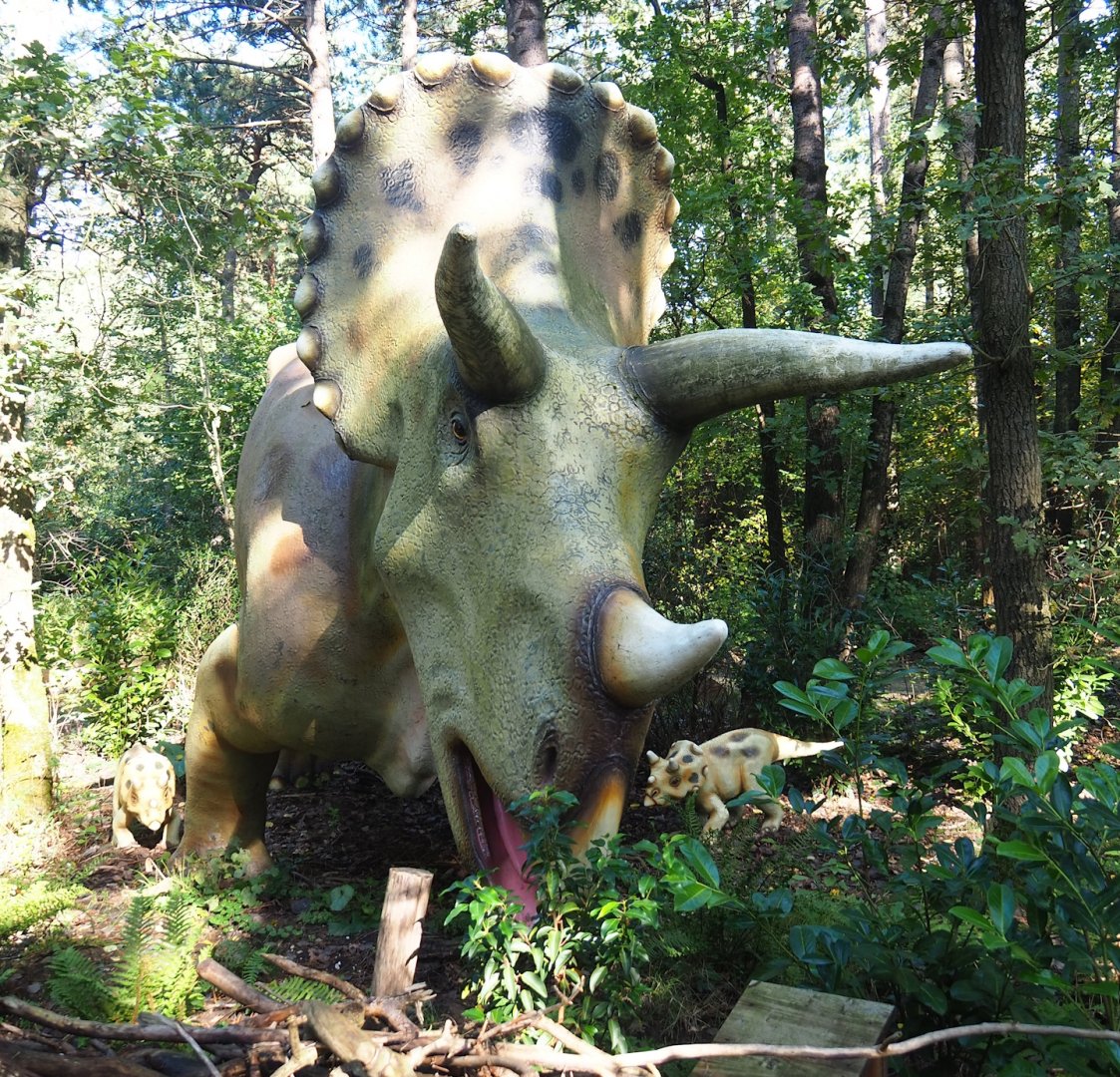 Dino Forest - Triceratops models, 2023-09-24