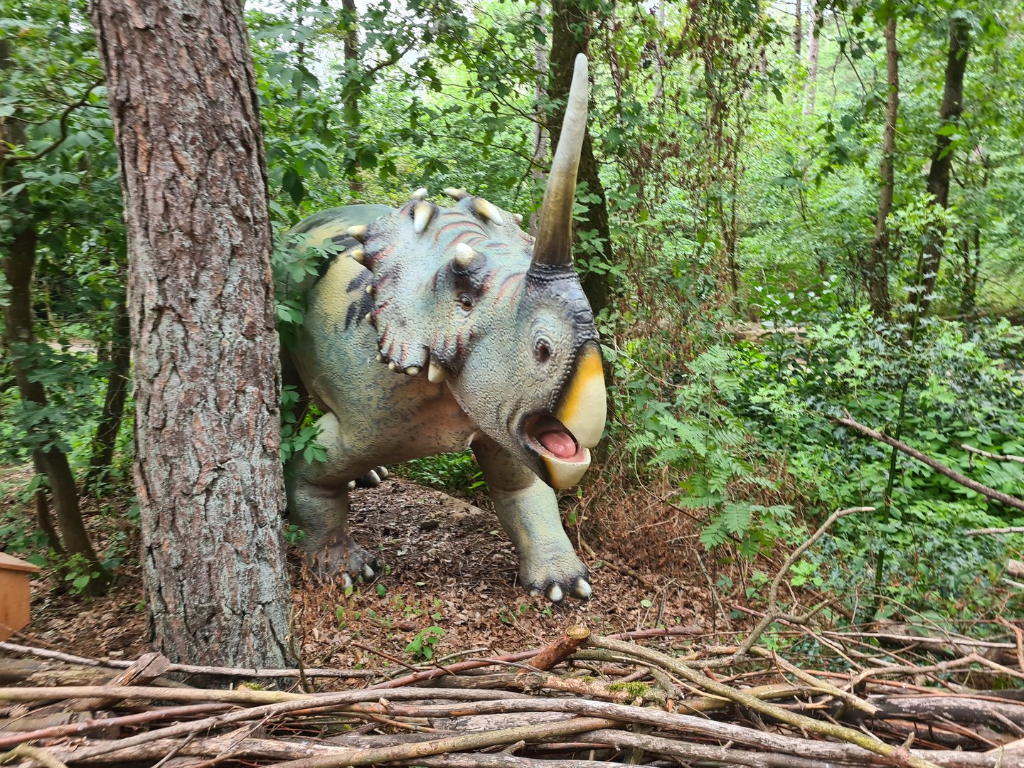 Dino forest - Unknown ceratopsid