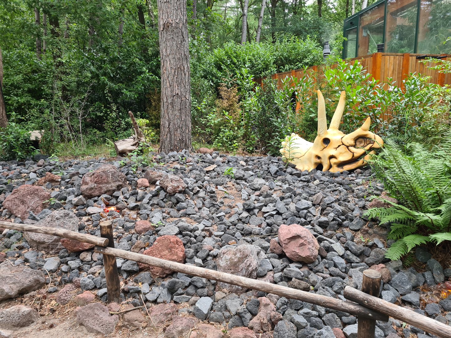 Dino forest - Volcanic yard