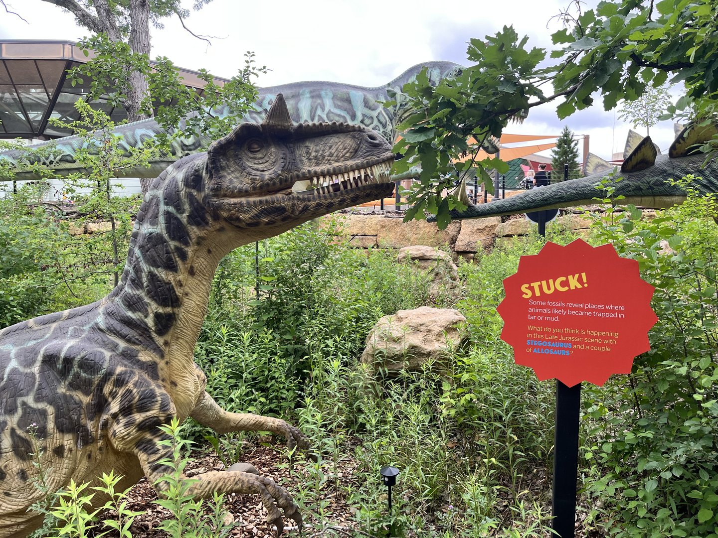 Dino Hideout - Allosaurus Animatronic