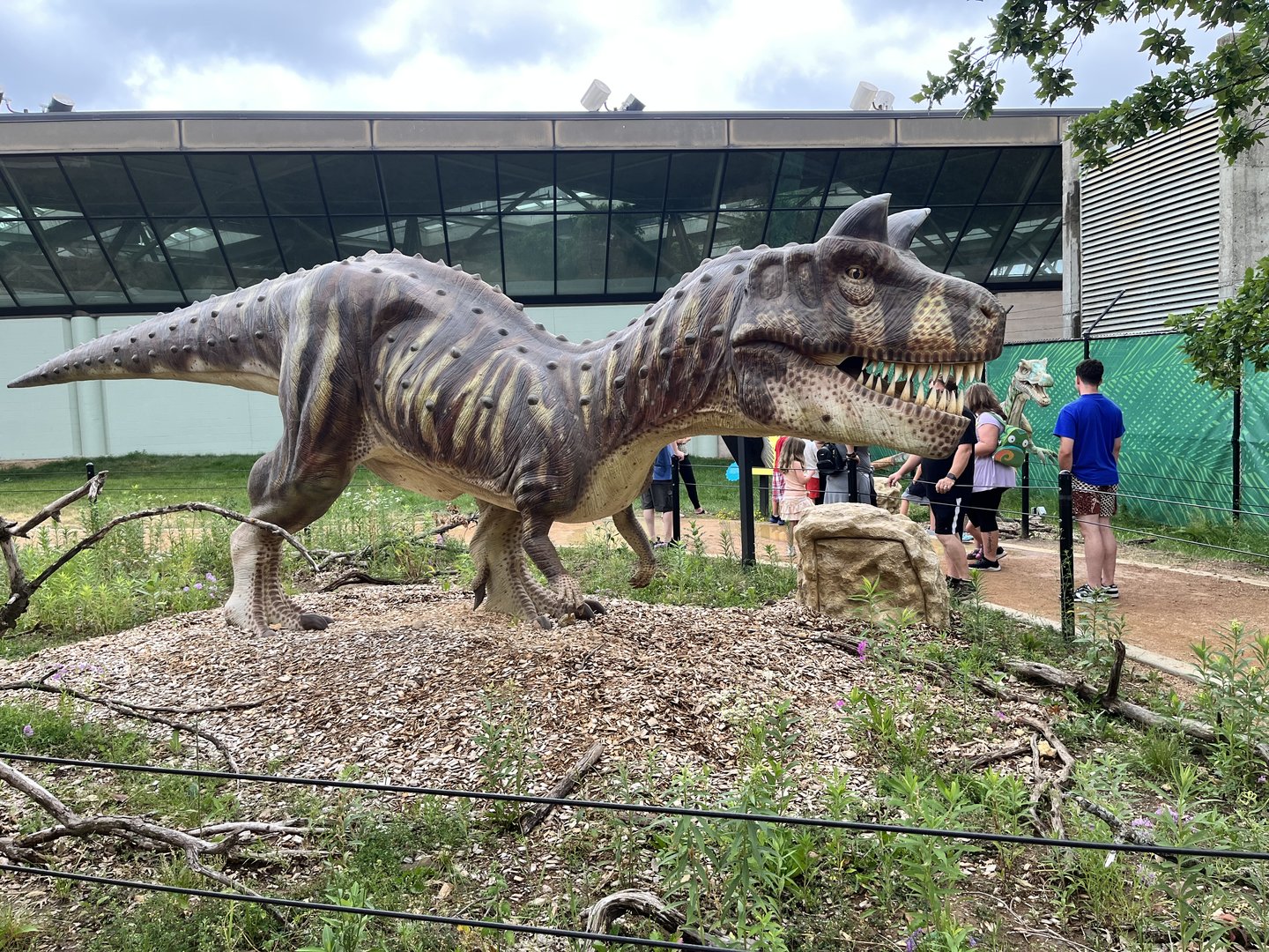 Dino Hideout - Carnotaurus Animatronic