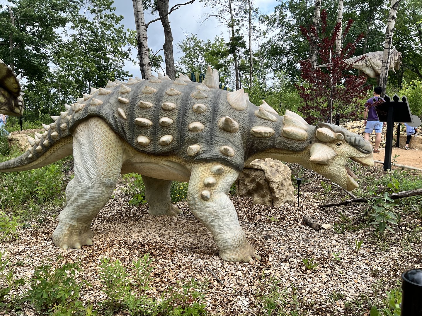 Dino Hideout - Dyoplosaurus Animatronic