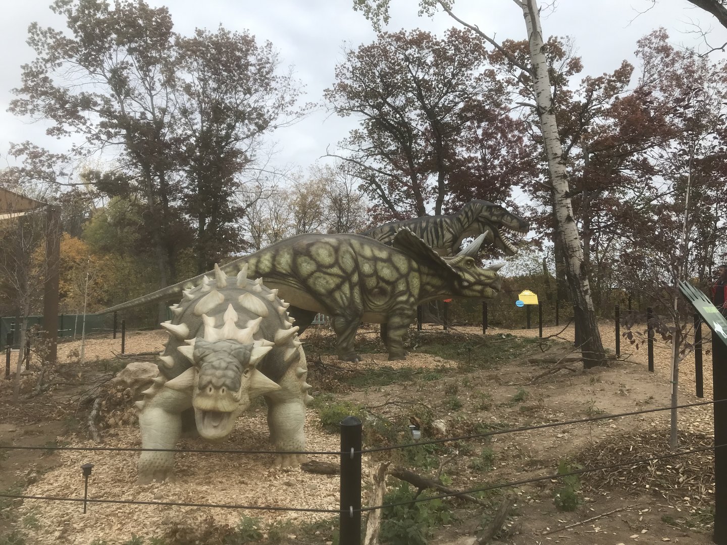 Dino Hideout - Dyoplosaurus/Triceratops Animatronics