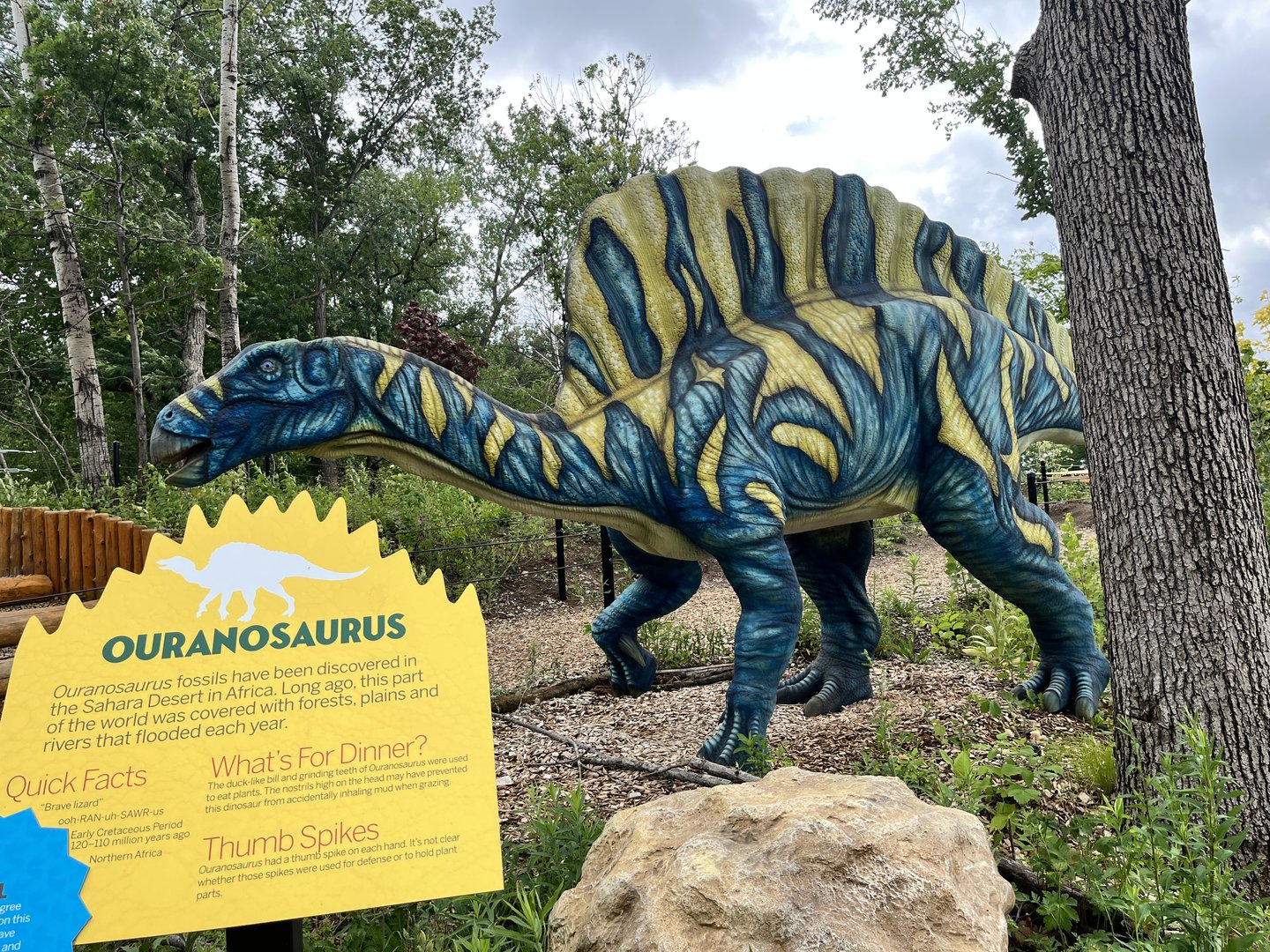 Dino Hideout - Ouranosaurus Animatronic