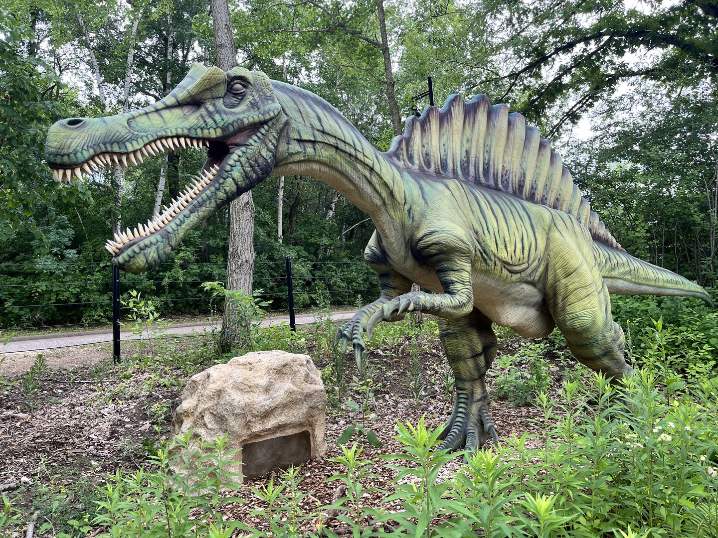 Dino Hideout - Spinosaurus Animatronic