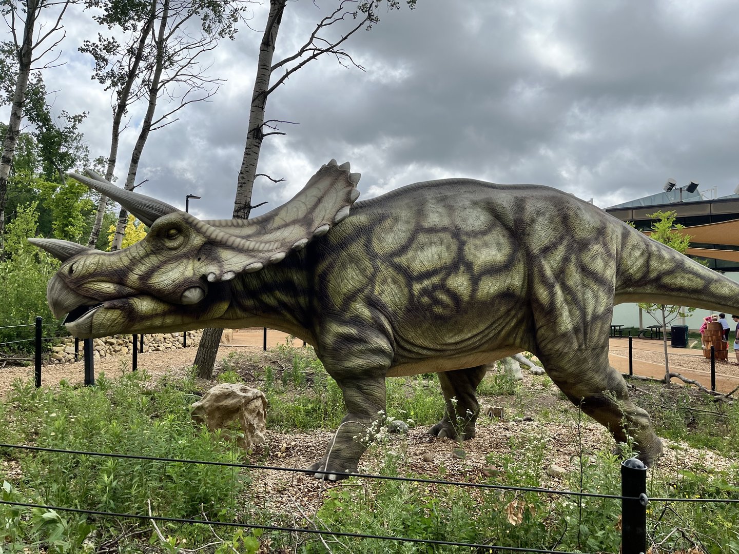 Dino Hideout - Triceratops Animatronic