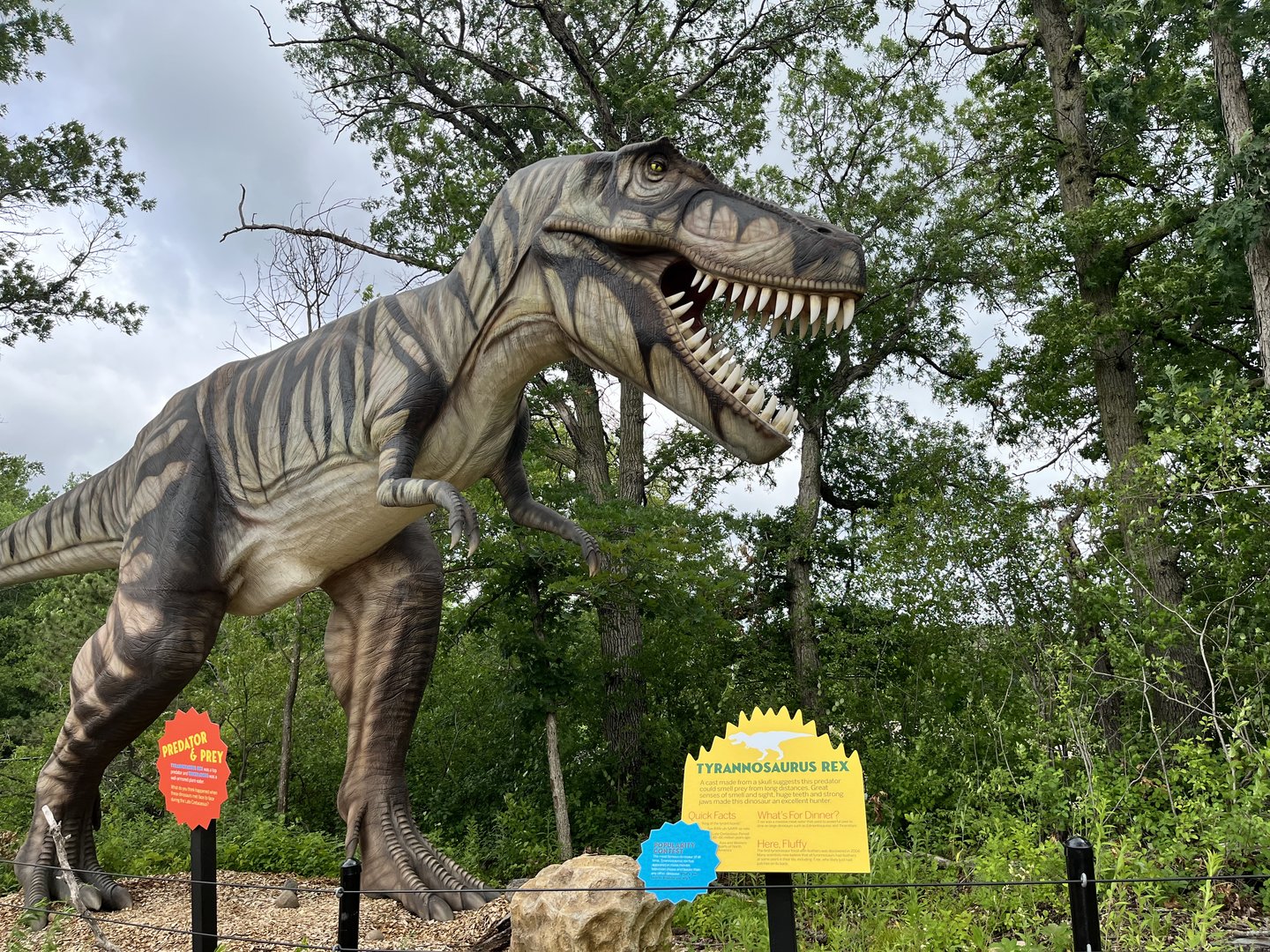 Dino Hideout - Tyrannosaurus Rex Animatronic