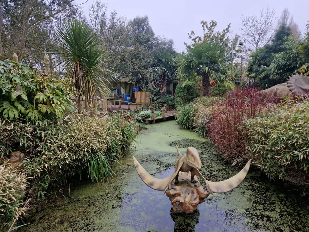 Dino pond