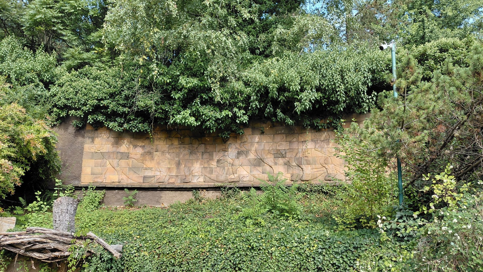 Dino relief sculpture