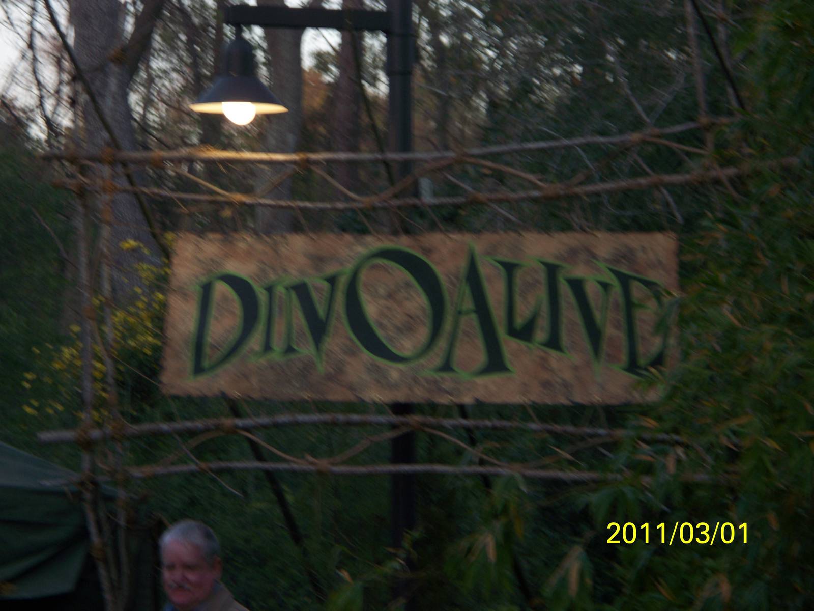 DinoAlive Entrance