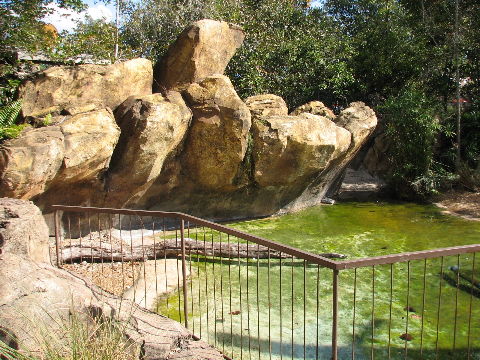 DinoLand U.S.A. - American Crocodile Exhibit