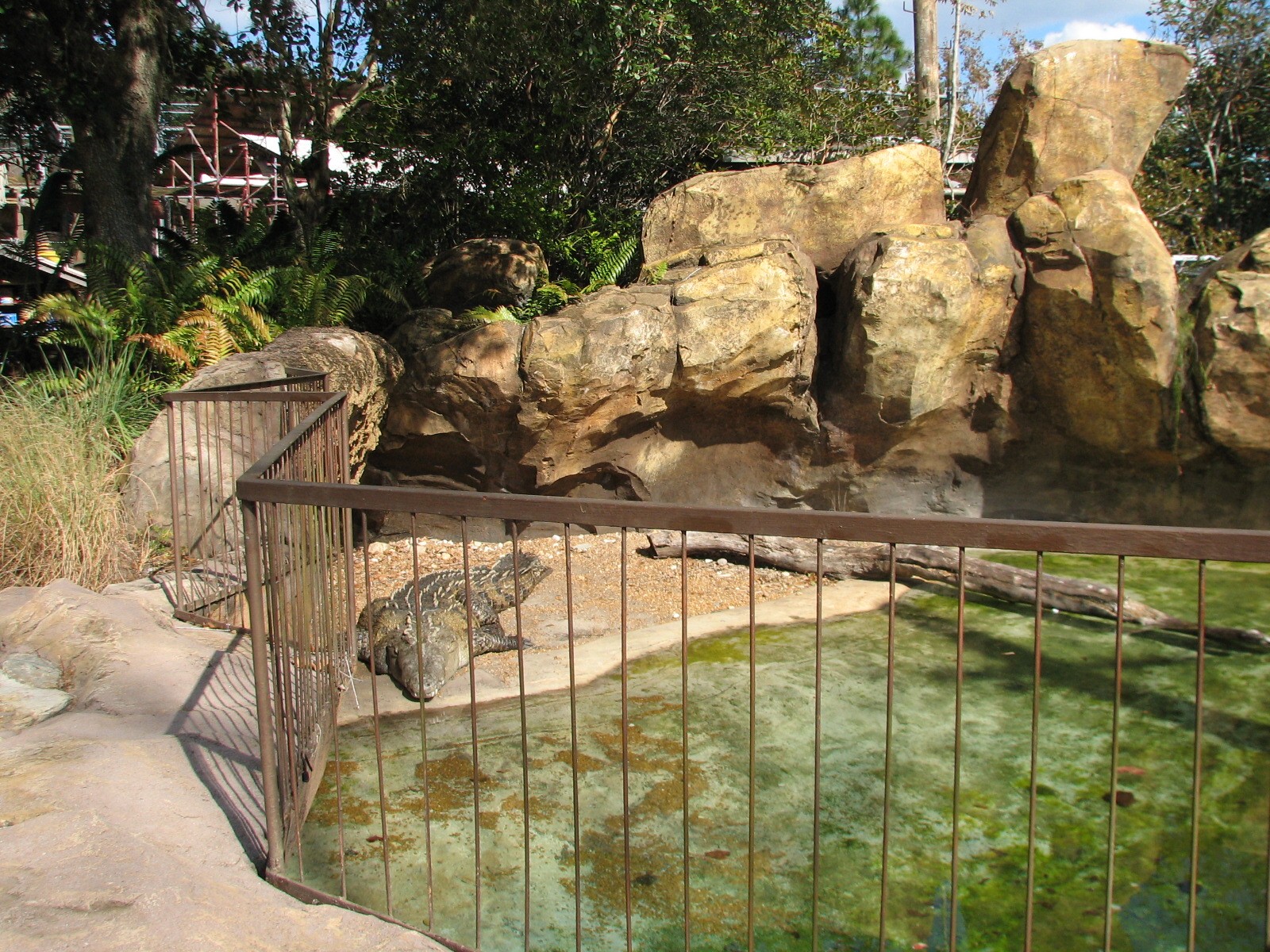 DinoLand U.S.A. - American Crocodile Exhibit