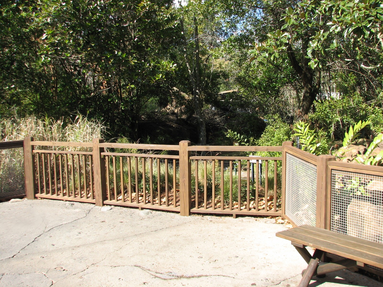 DinoLand U.S.A. - Asian Brown Tortoise and Abdims Stork Exhibit