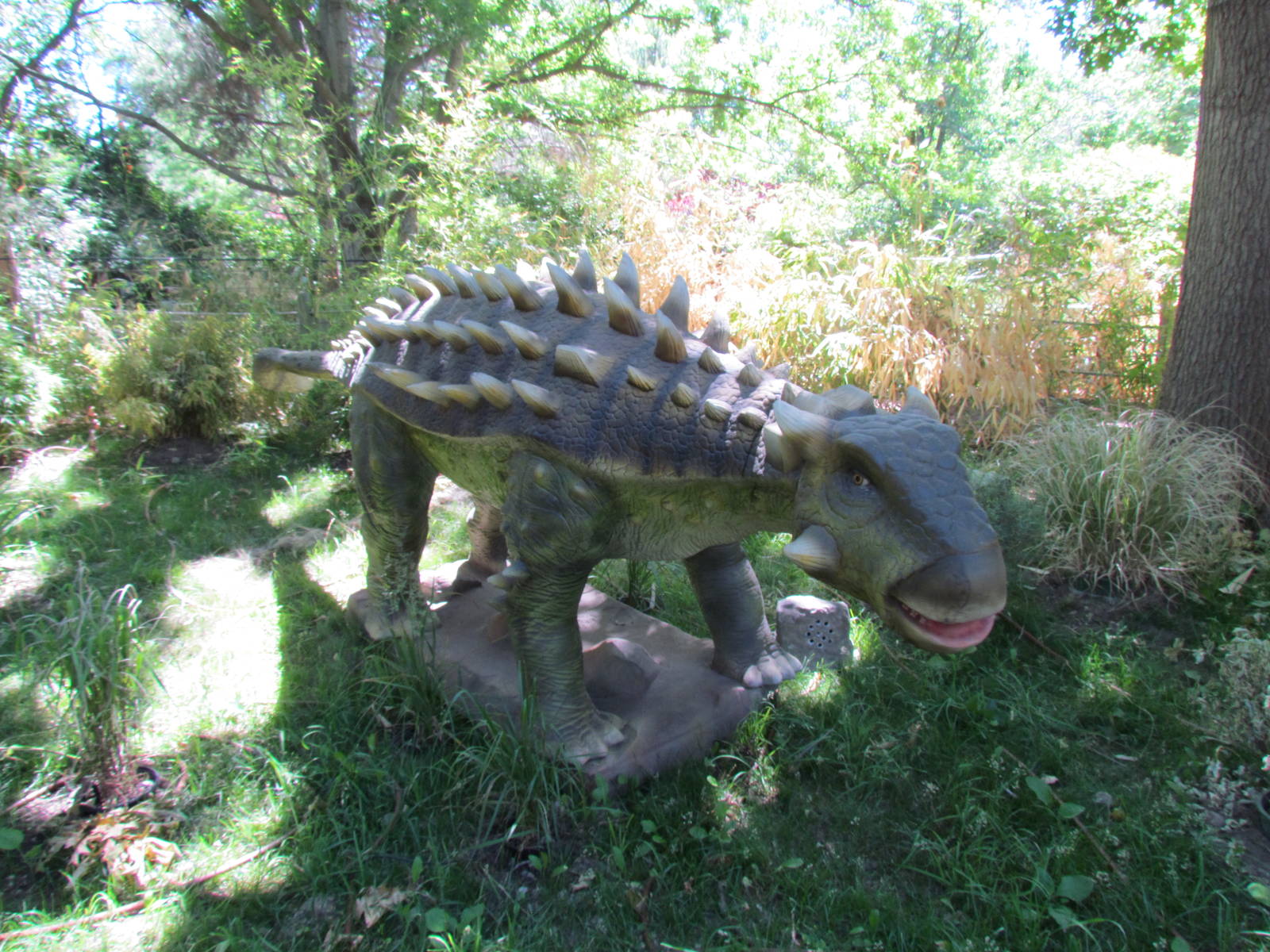 Dinomotion - Ankylosaurus