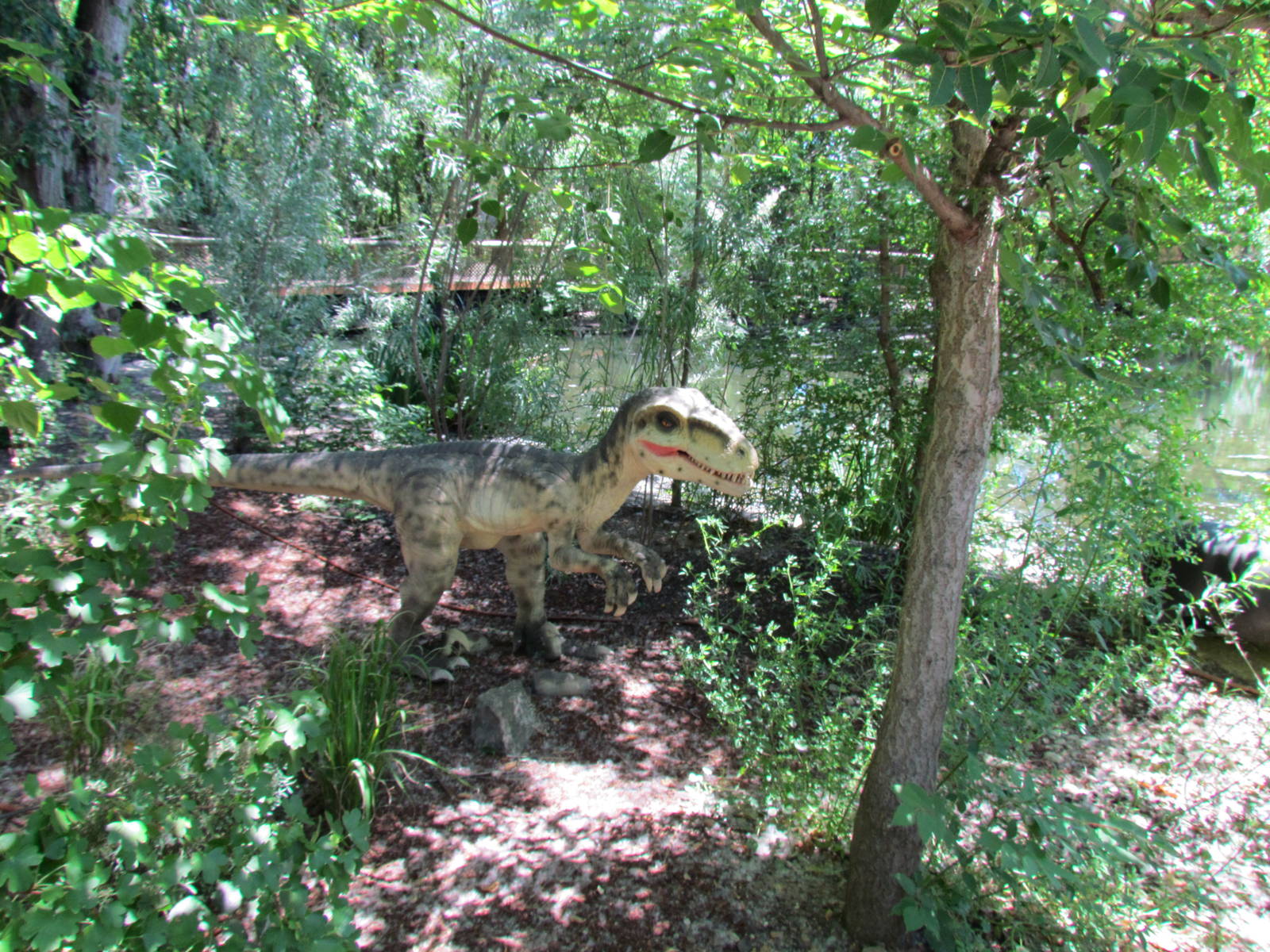 Dinomotion - Deinonychus