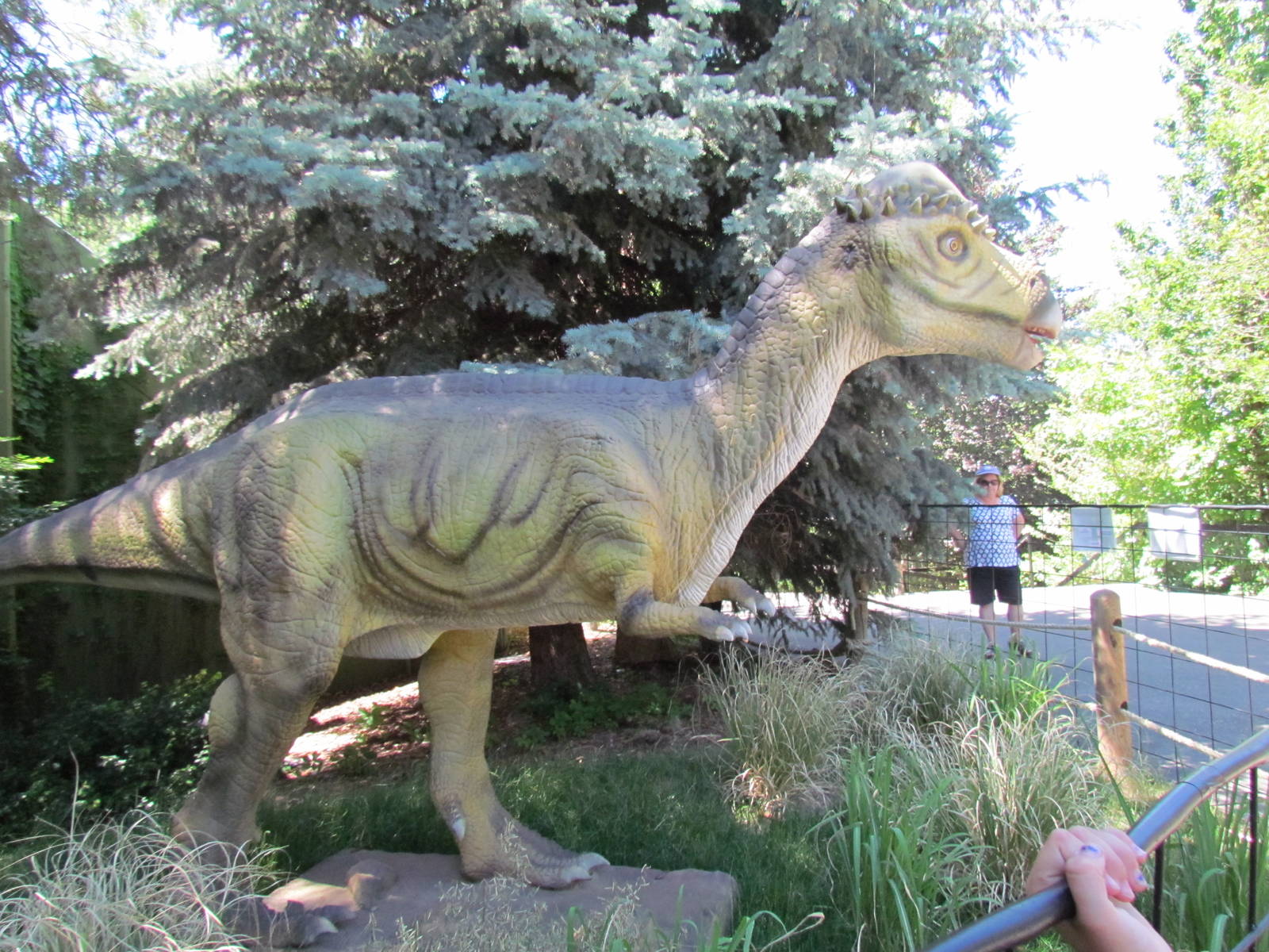 Dinomotion - Pachycephalosaurus