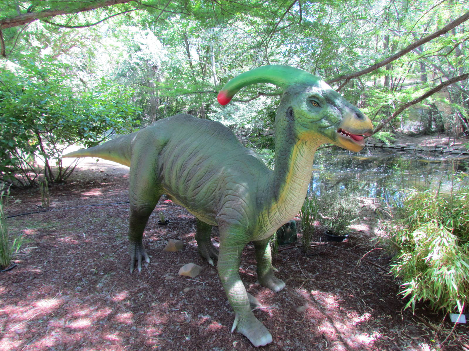 Dinomotion - Parasaurolophus