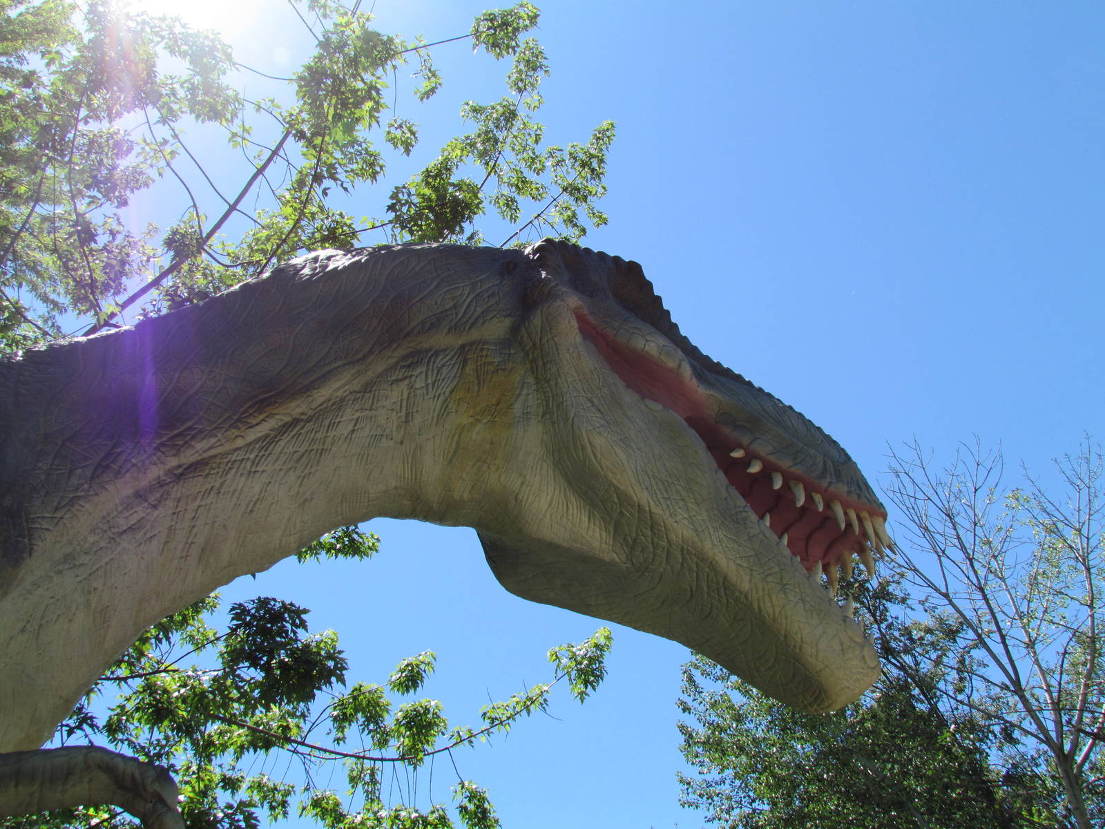 Dinomotion - Tyrannosaurus