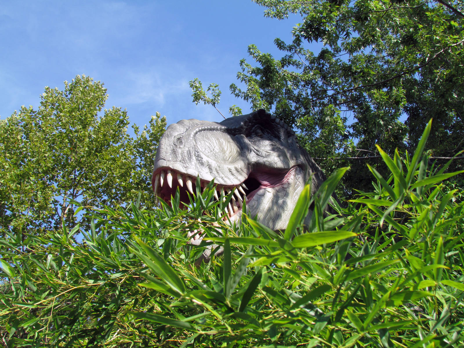 Dinomotion - Tyrannosaurus