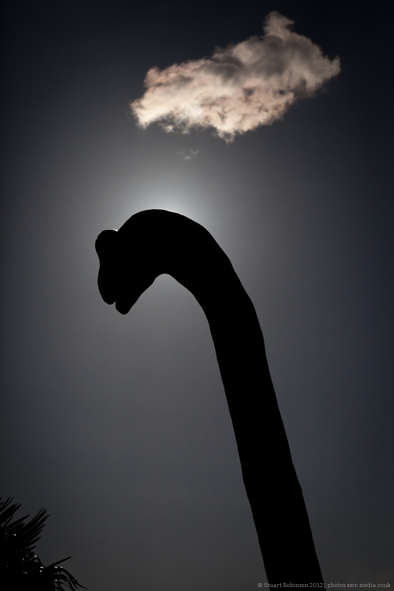Dinosaur - 15/04/2012