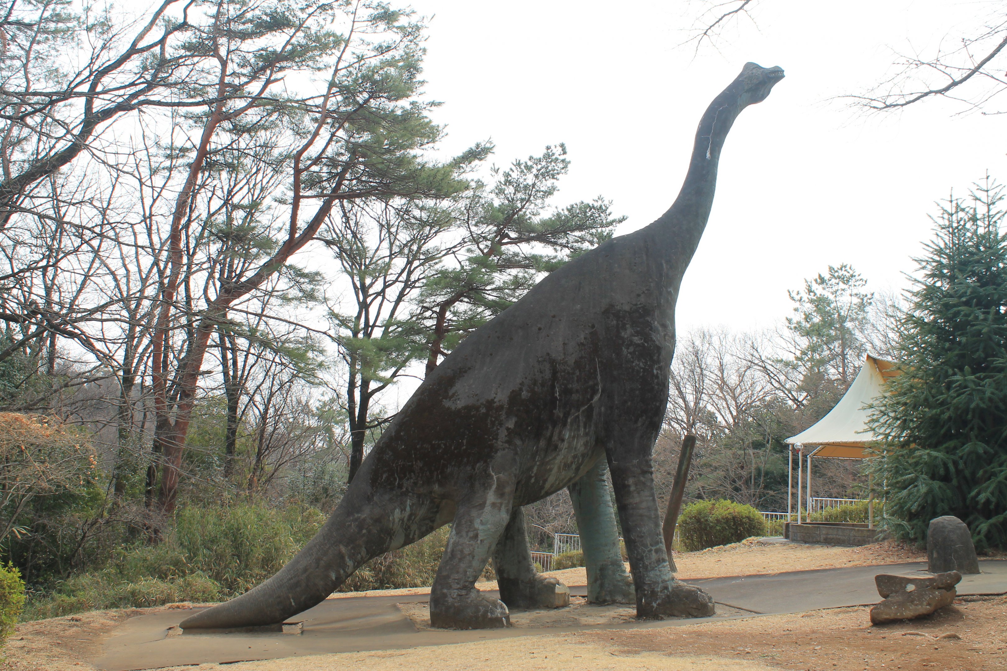 Dinosaur area - Saitama Childrens Zoo