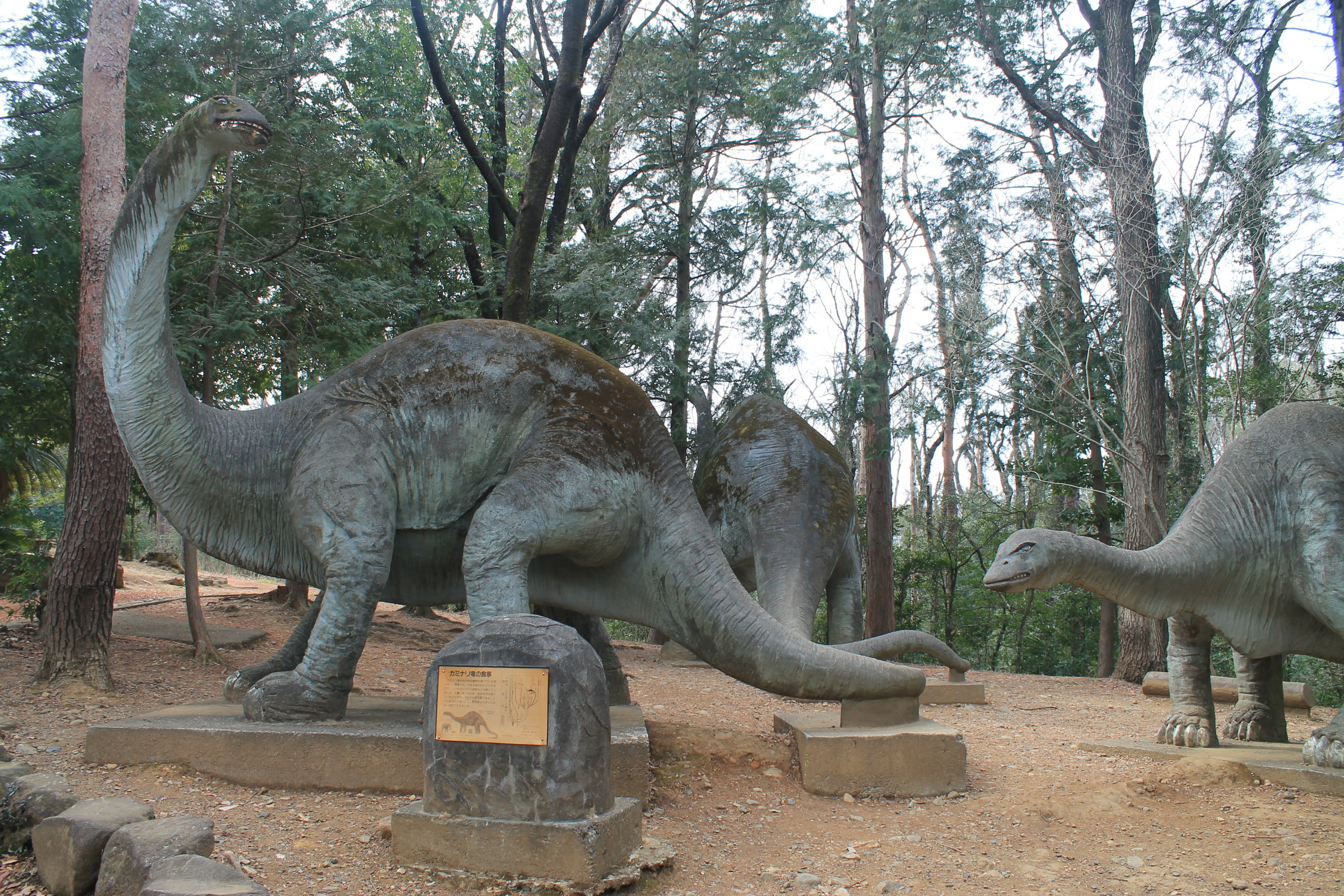 Dinosaur area - Saitama Childrens Zoo