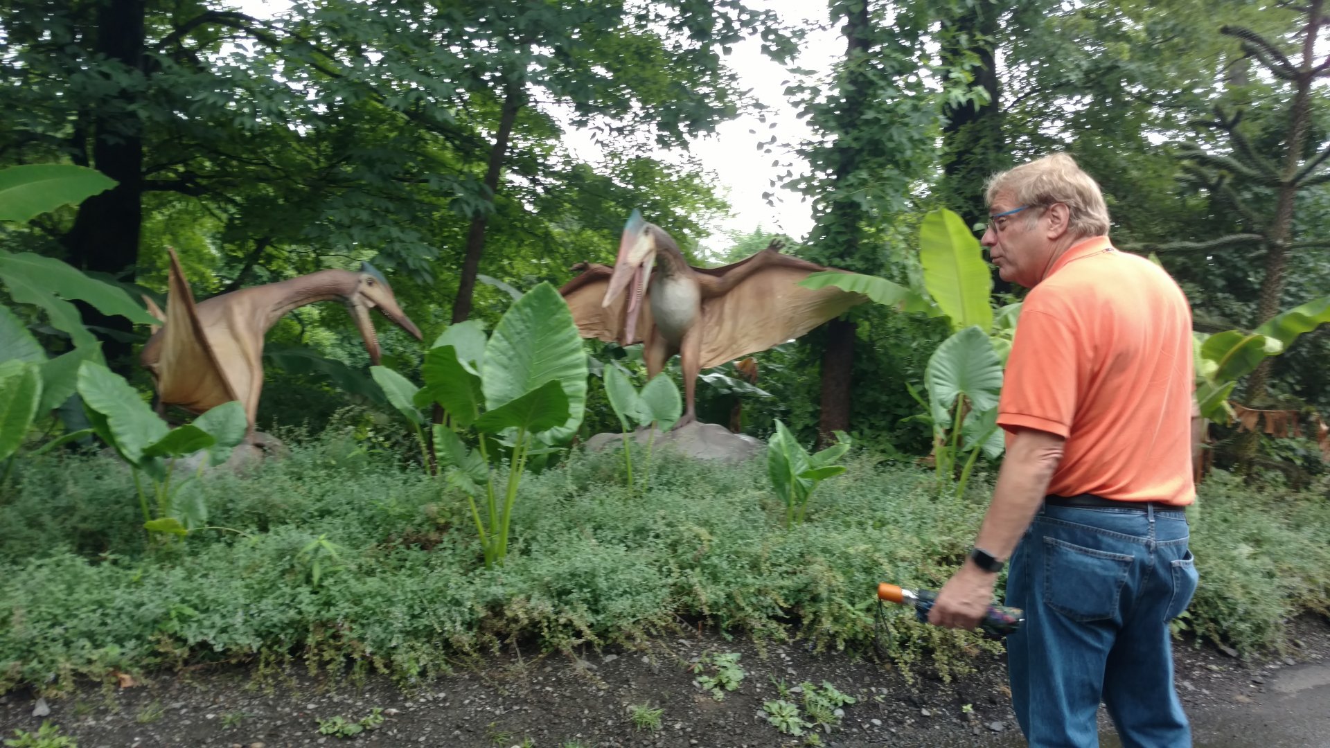 Dinosaur, Bronx Zoo, July 2019
