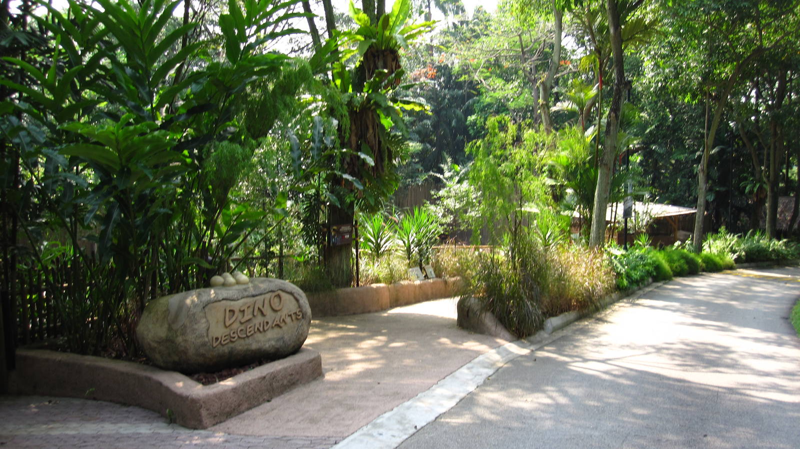 Dinosaur Descendants