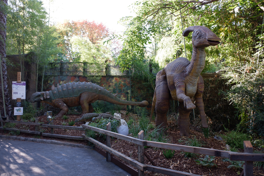 dinosaur display