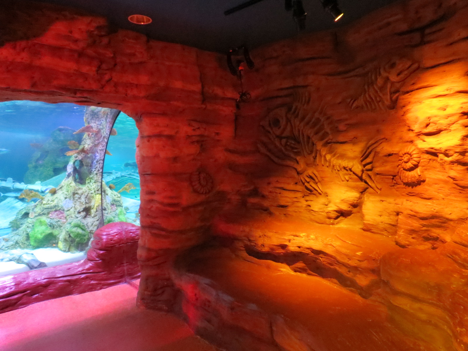 Dinosaur Dive - Interior