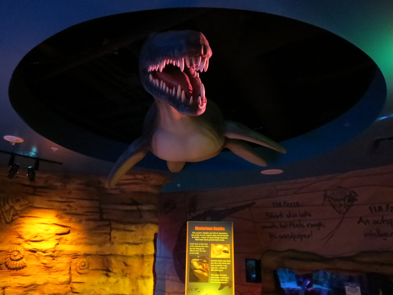 Dinosaur Dive - Interior