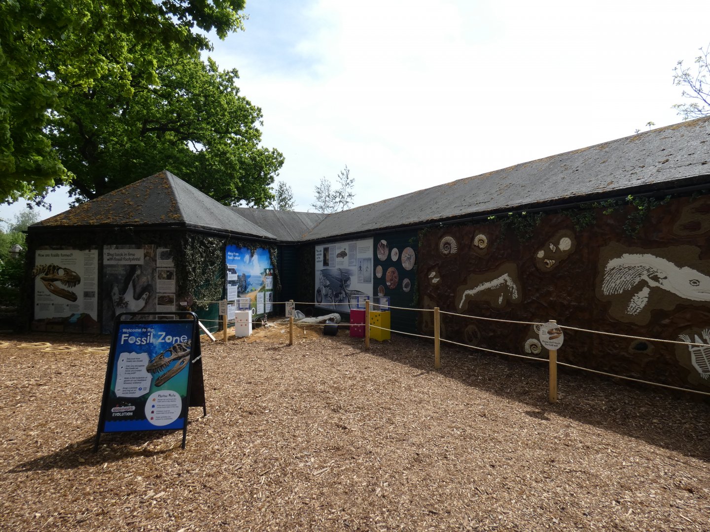 Dinosaur fossil educational display