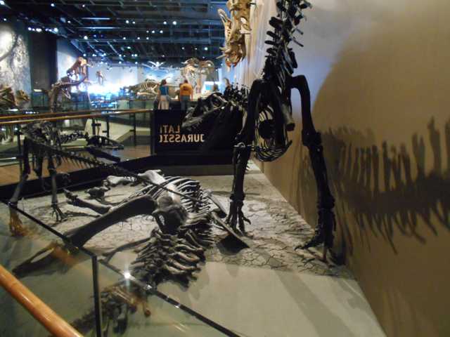Dinosaur hall