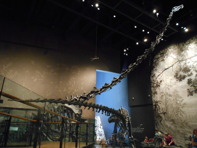 Dinosaur hall