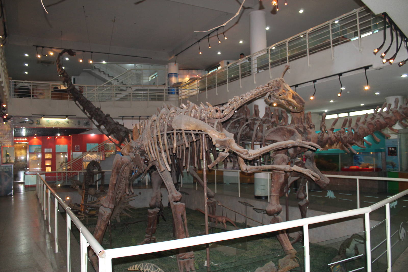 dinosaur hall