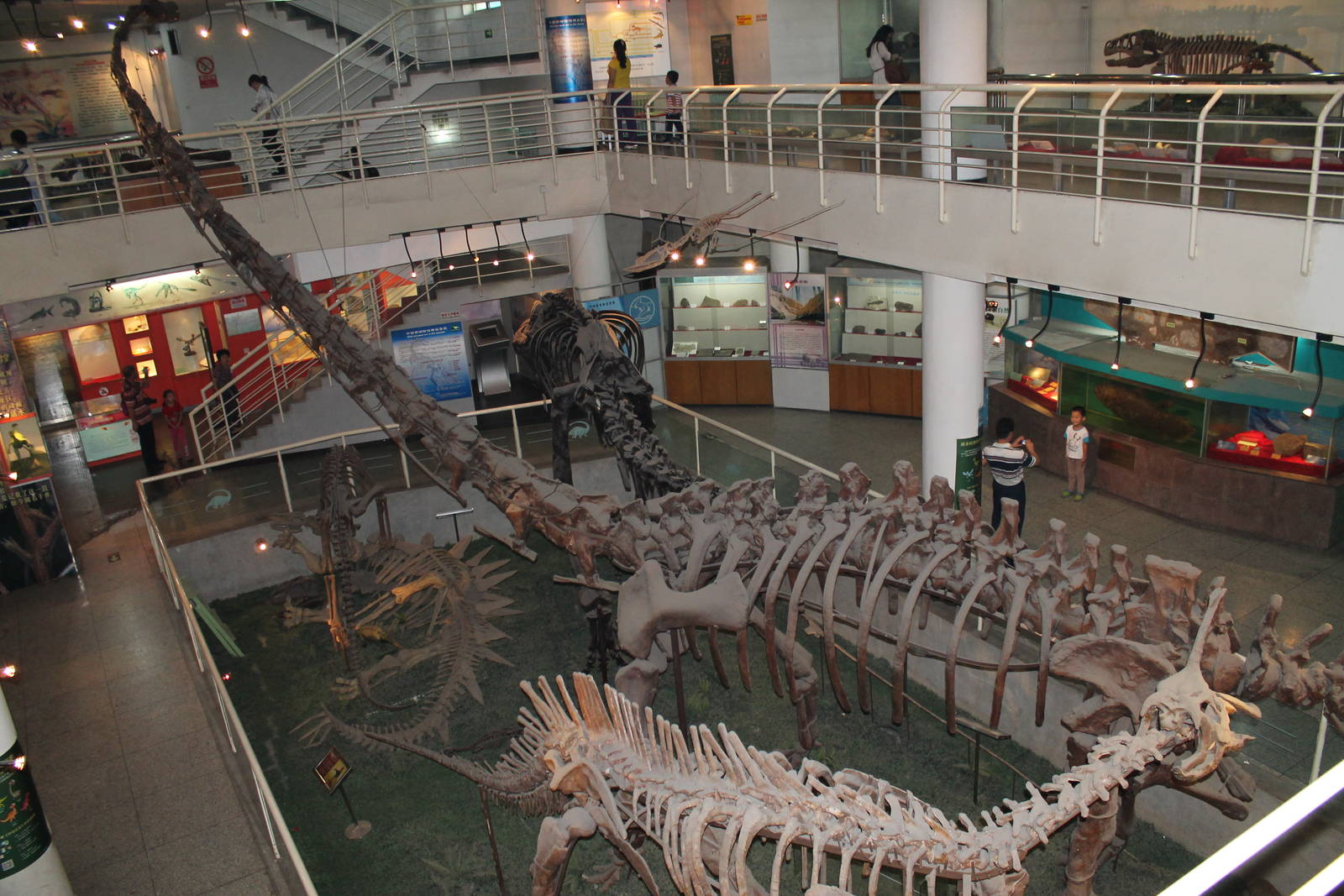 dinosaur hall