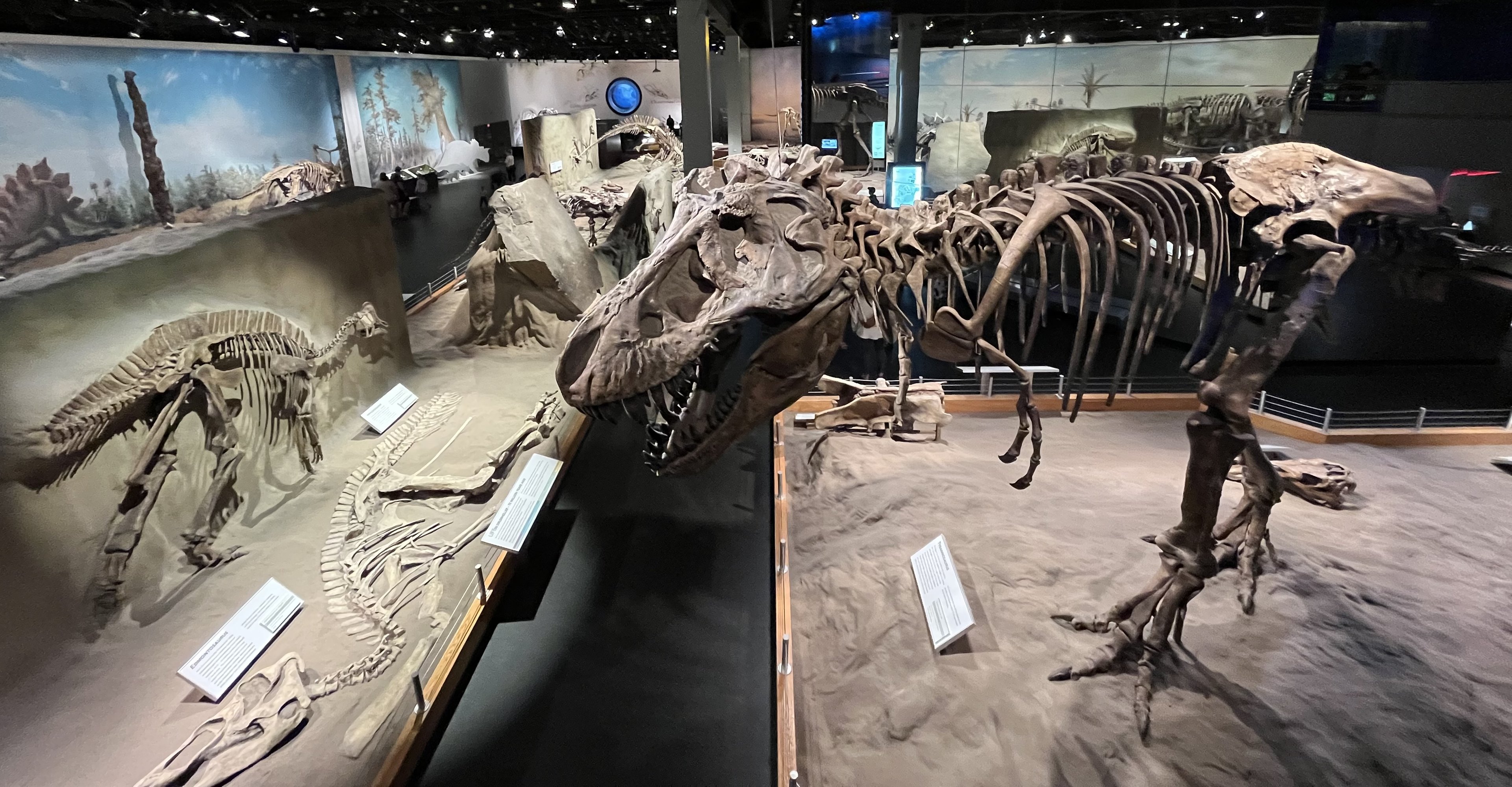 Dinosaur Hall
