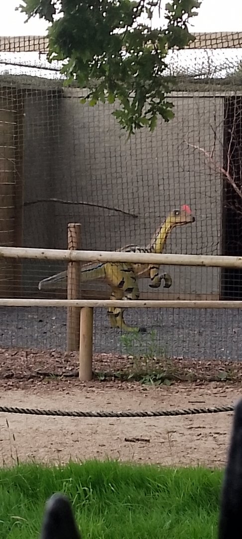 Dinosaur in aviary