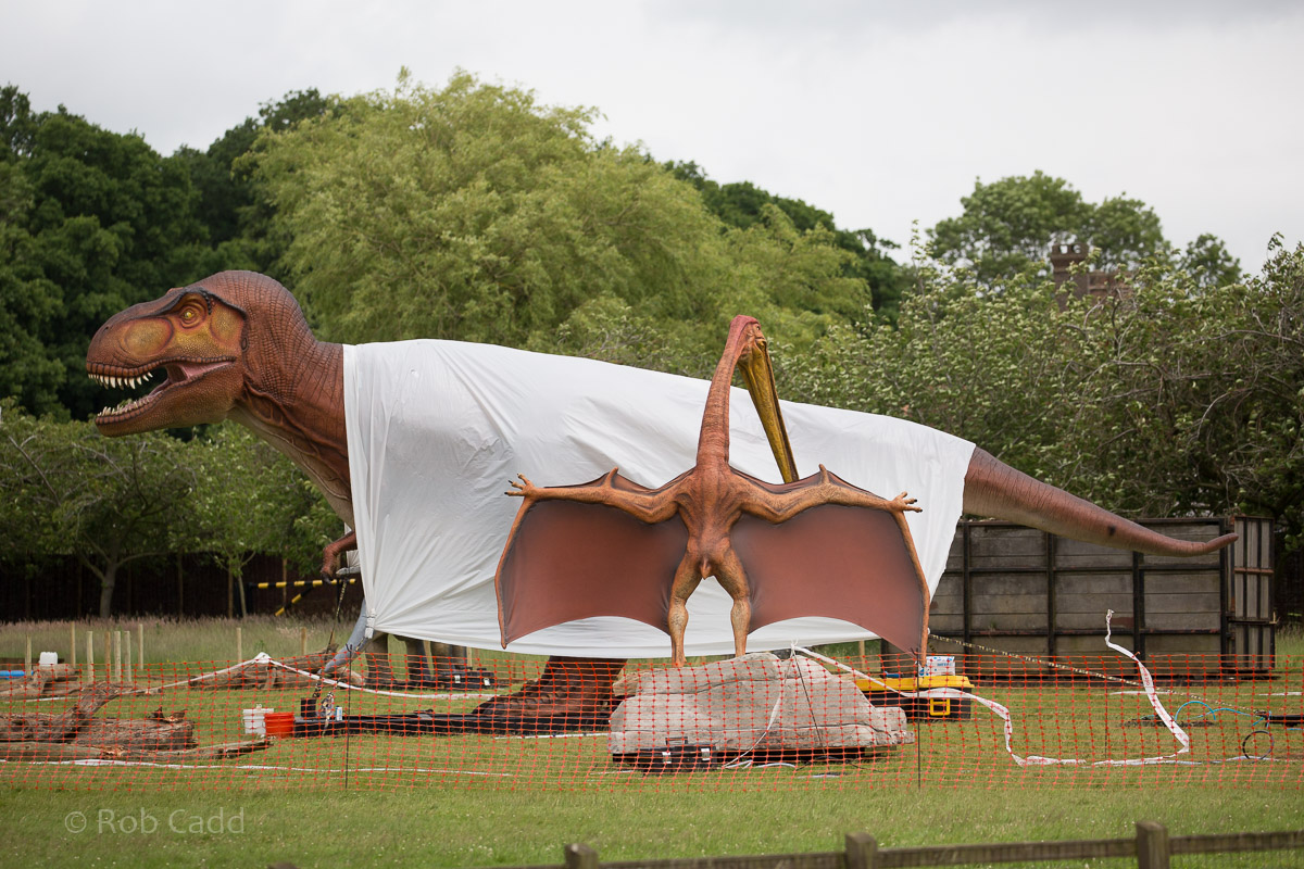 Dinosaur installation progress : Whipsnade : 01 Jul 2016