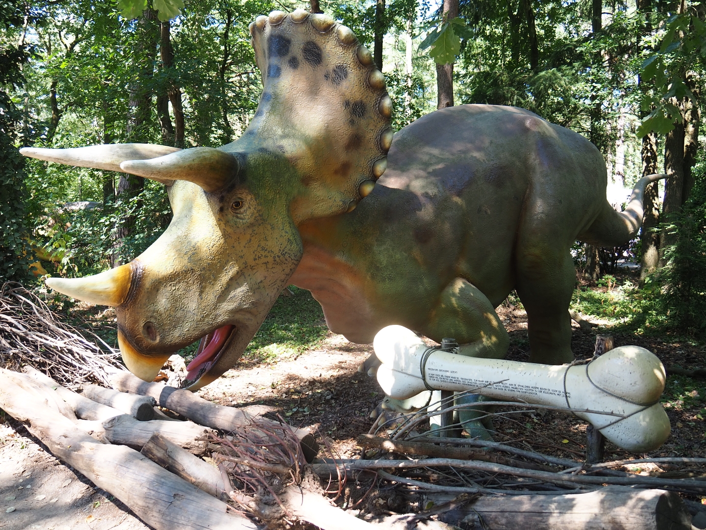 Dinosaur models - Triceratops