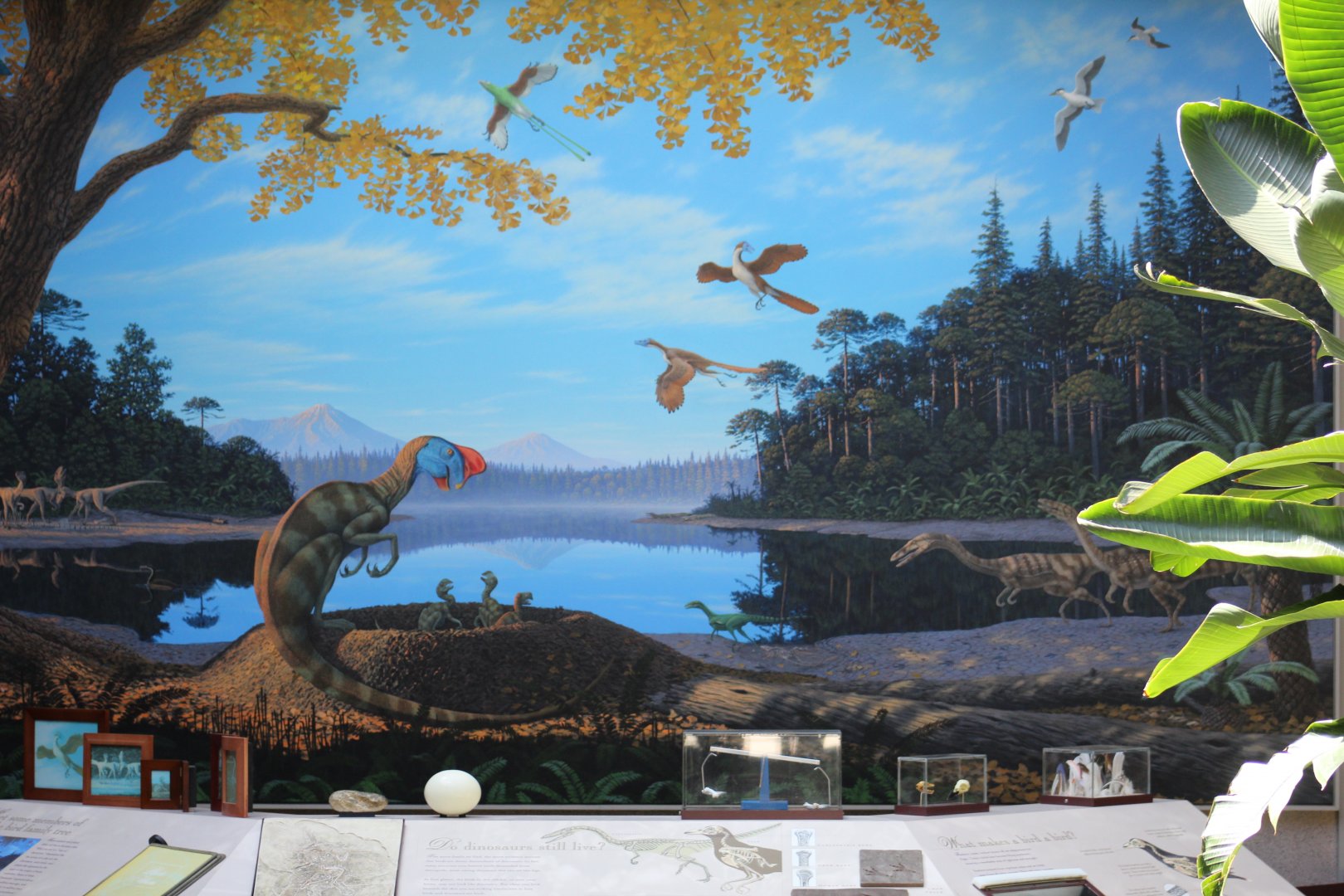 Dinosaur Mural