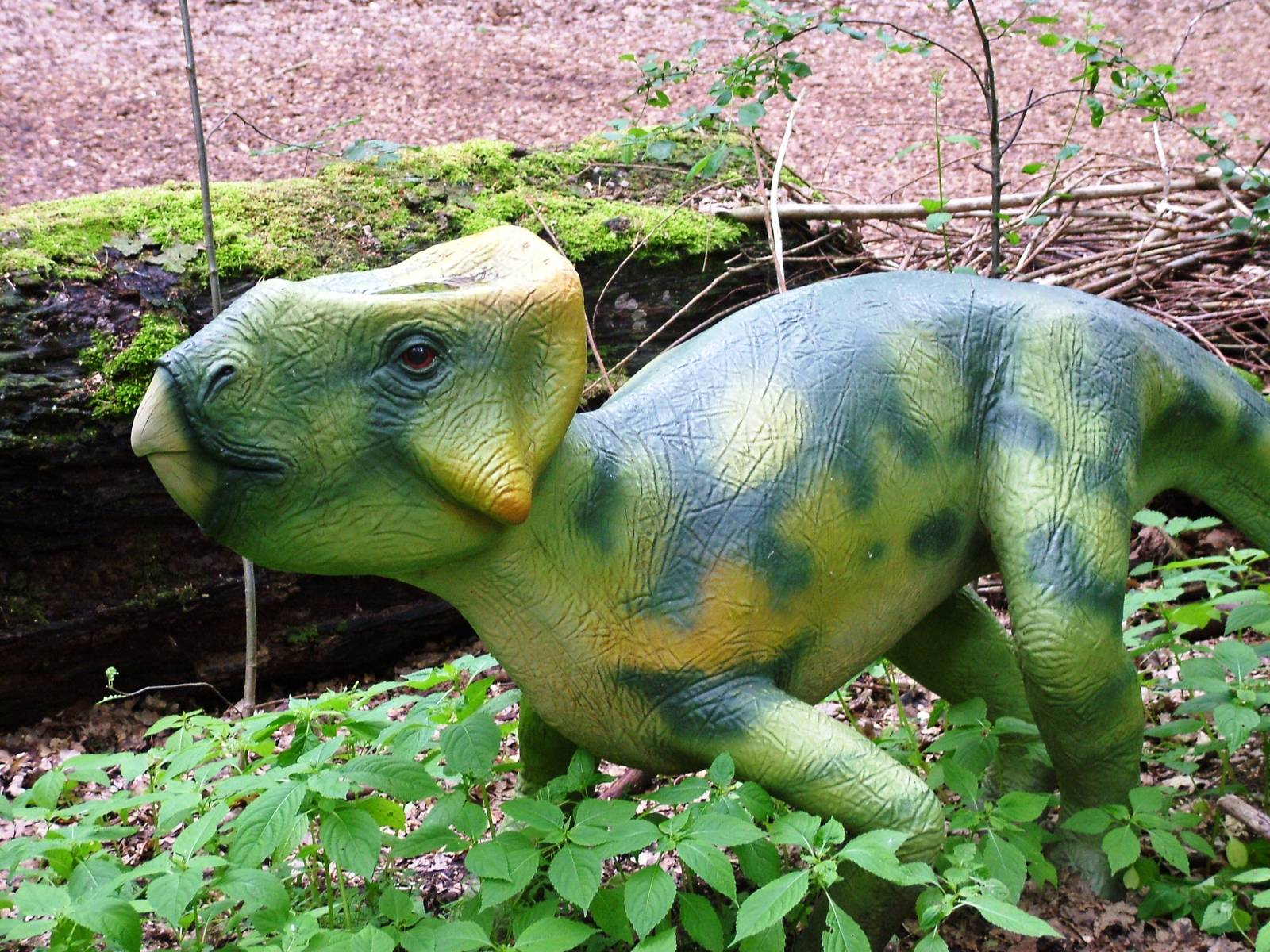 Dinosaur Park at Amersfoort, 01/06/12