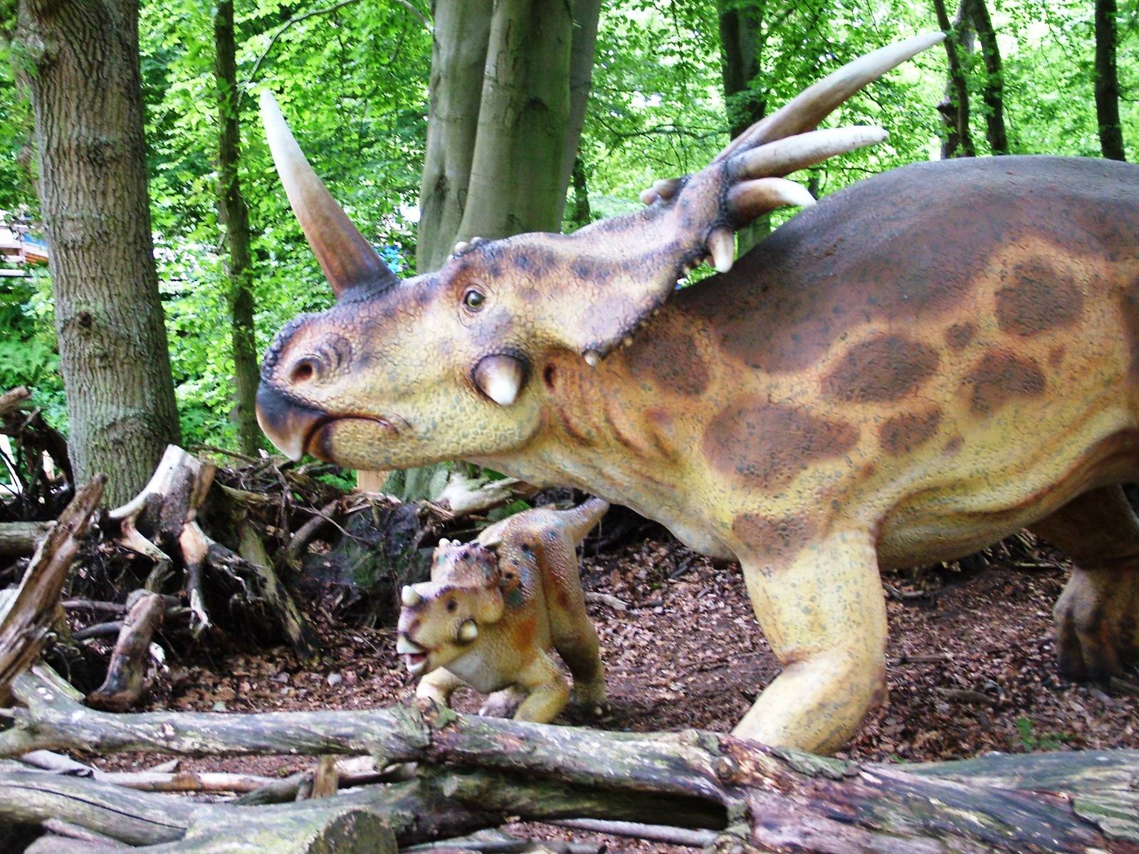 Dinosaur Park at Amersfoort, 01/06/12